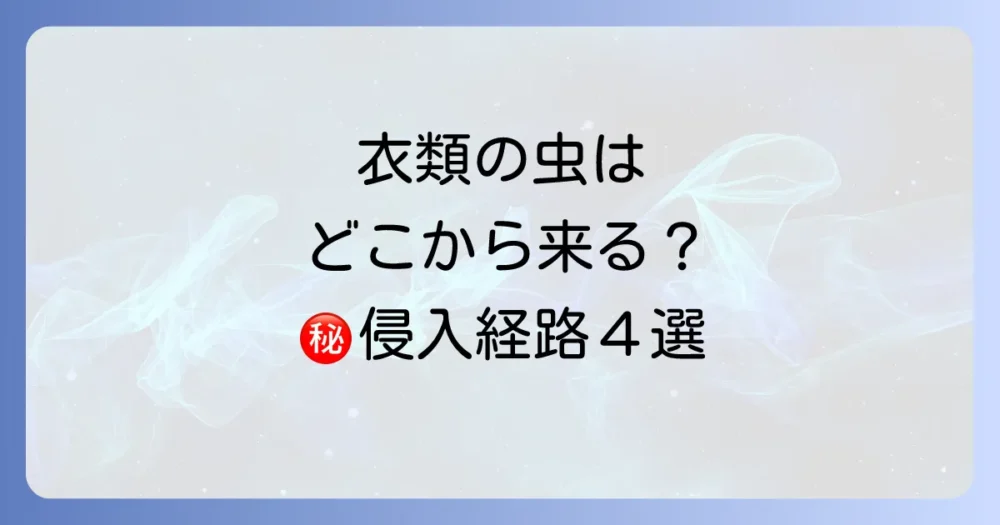 【結論】衣類の虫はどこから？主な侵入経路はこの4つ！