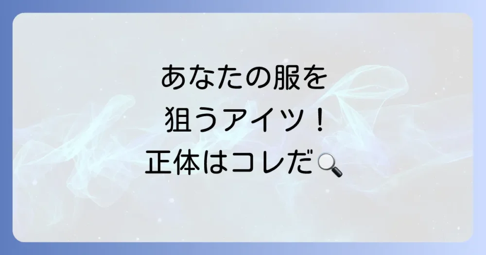 あなたの服を狙う！衣類害虫の正体とは？
