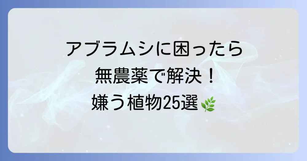 【完全版】アブラムシが嫌う植物25選！コンパニオンプランツで無農薬対策