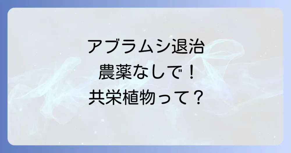 アブラムシ対策の強い味方！コンパニオンプランツとは？