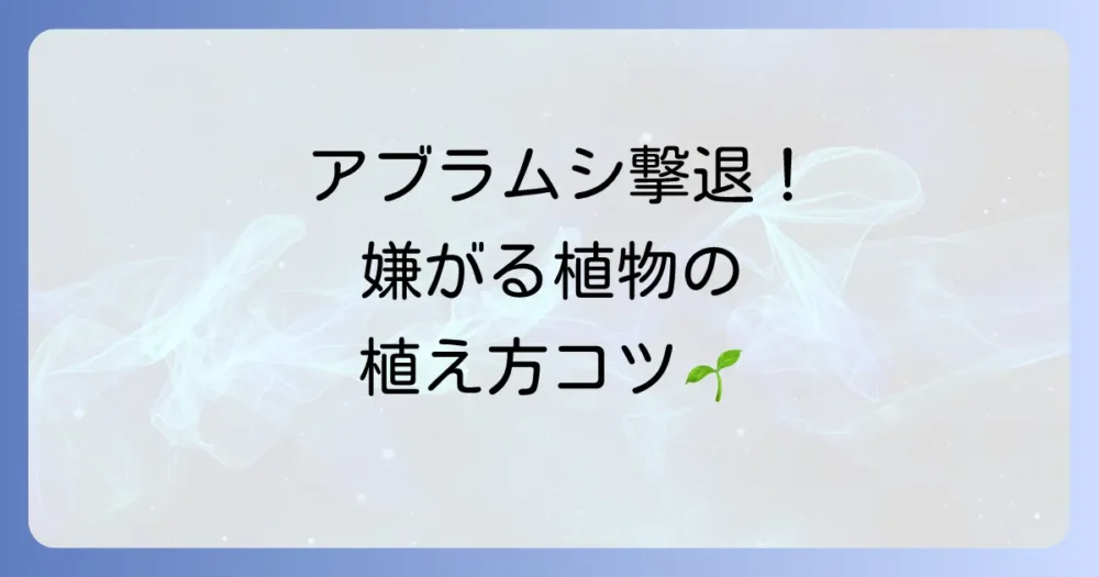 効果アップ！アブラムシが嫌う植物（コンパニオンプランツ）の上手な植え方