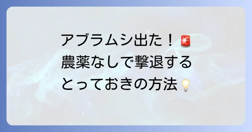 もし発生したら？農薬に頼らないアブラムシ駆除方法