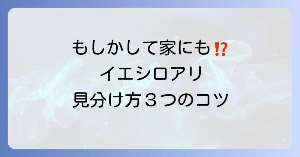 もしかしてイエシロアリ?家の中で見分ける3つのポイント