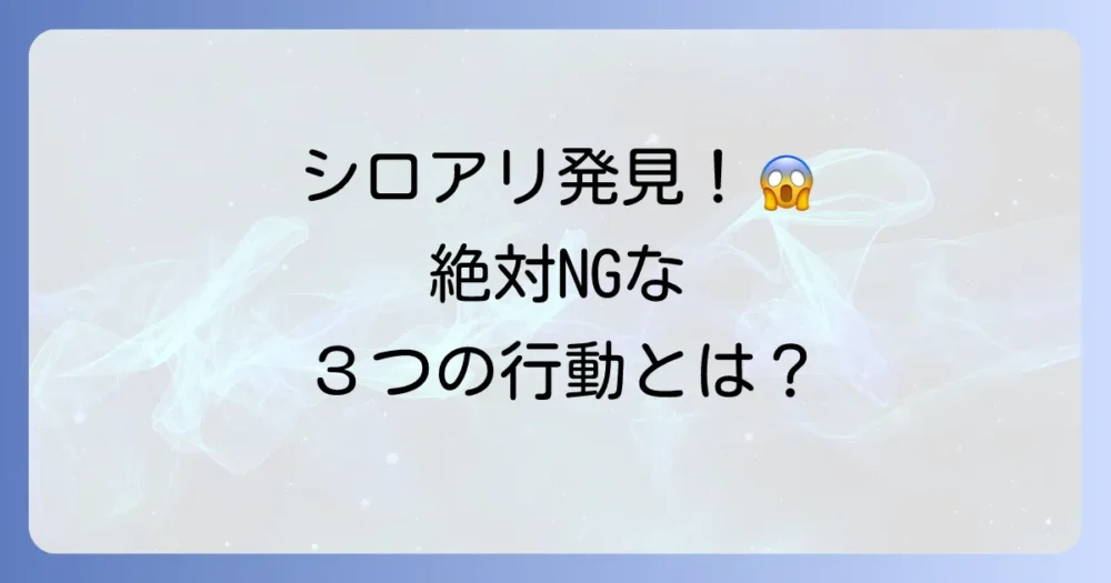 【絶対NG】イエシロアリを家の中で見つけた時にやってはいけないこと
