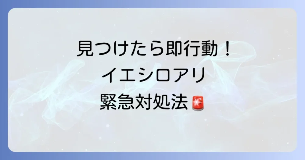イエシロアリを家の中で発見!今すぐやるべき応急処置と連絡先
