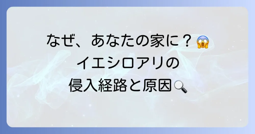 なぜ?イエシロアリが家の中に発生する原因と侵入経路