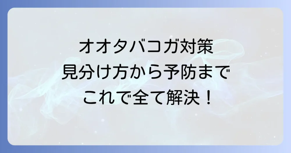 まとめ