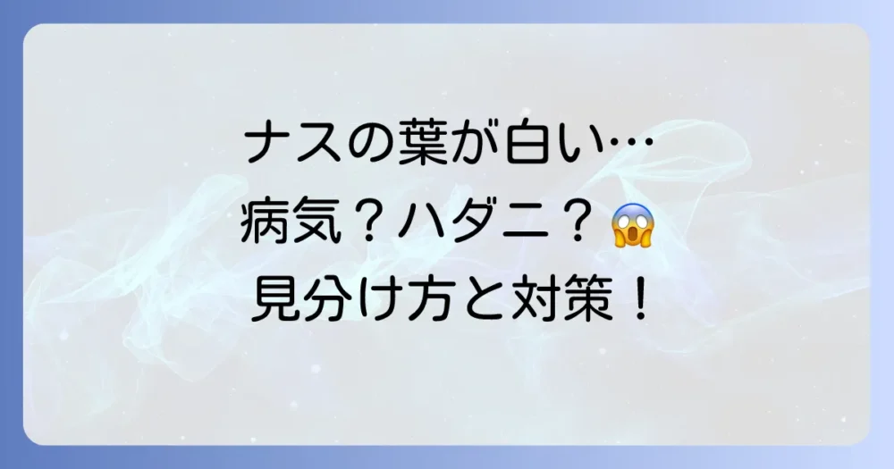 ナスの葉が白いのは病気？ハダニの症状と駆除・予防法を徹底解説！