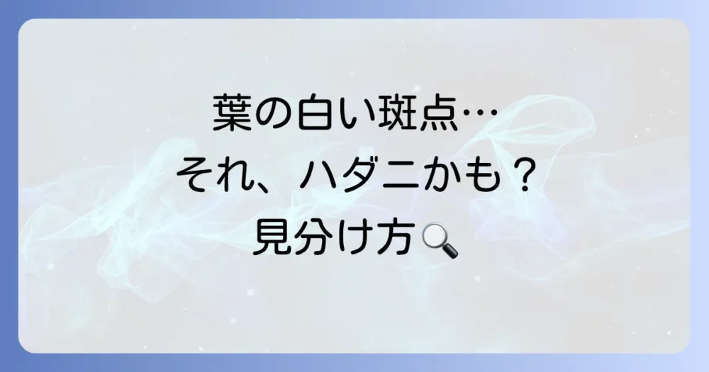 これってハダニ?ナスの病気と間違いやすい初期症状