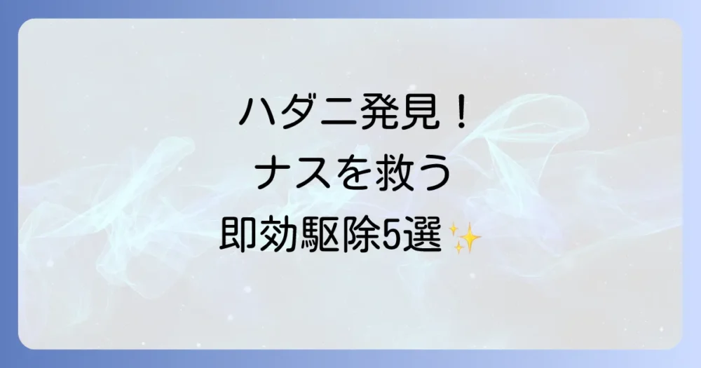 【即効性重視】ナスのハダニ駆除方法5選