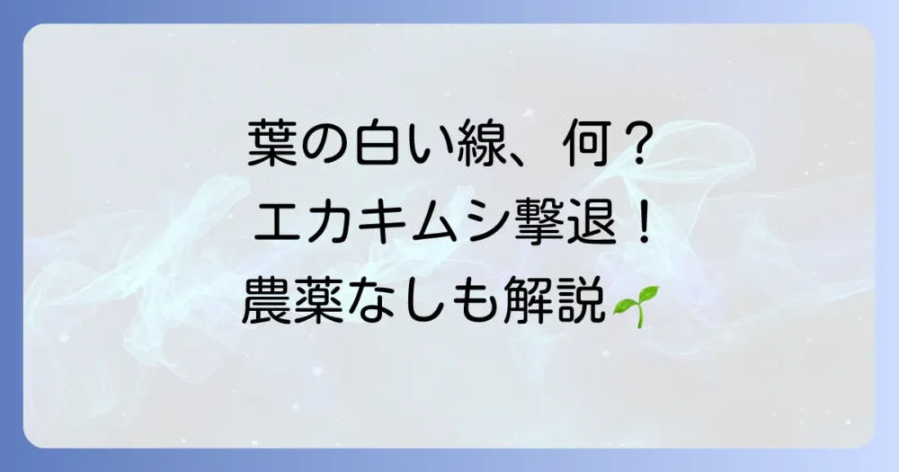 ハモグリバエ駆除剤おすすめ10選!効果的な使い方と農薬に頼らない予防策を徹底解説