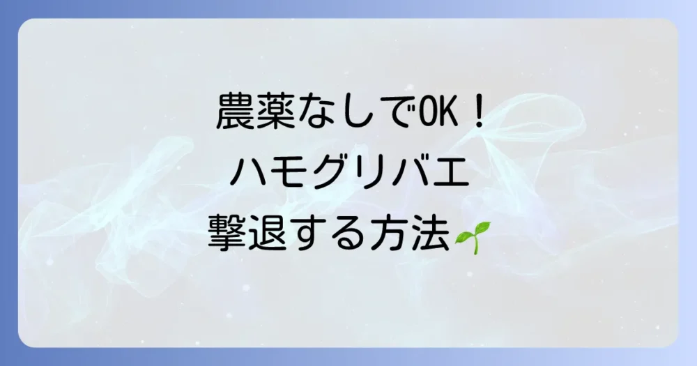 農薬を使いたくない方へ!ハモグリバエの駆除・対策法