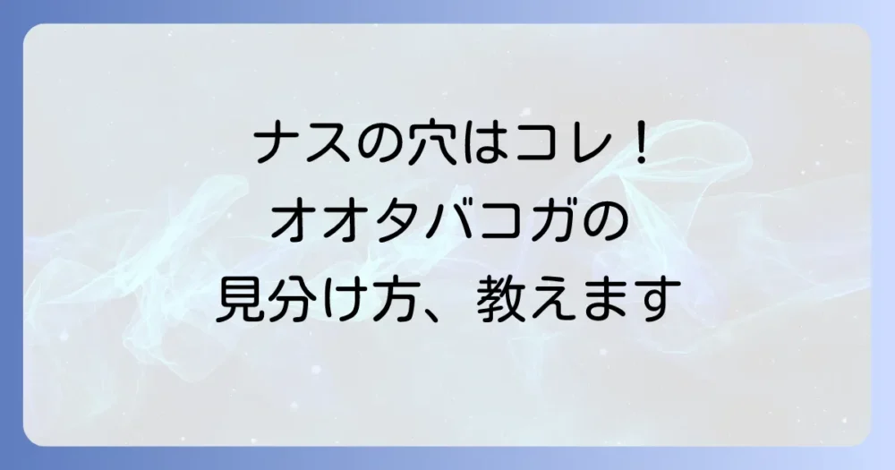 ナスの大敵!オオタバコガの被害と見分け方