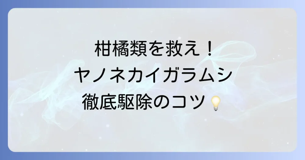 ヤノネカイガラムシの駆除方法を徹底解説！最適な時期と農薬、天敵活用のコツ