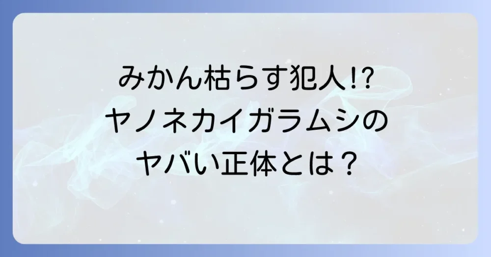 そもそもヤノネカイガラムシとは？正体と被害を知って対策を！