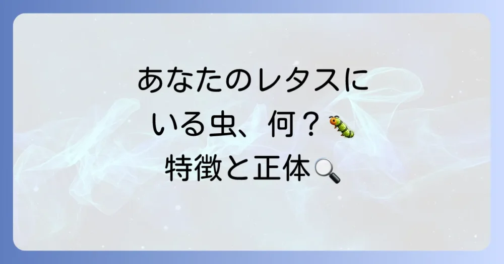 レタスを好む代表的な害虫とその特徴