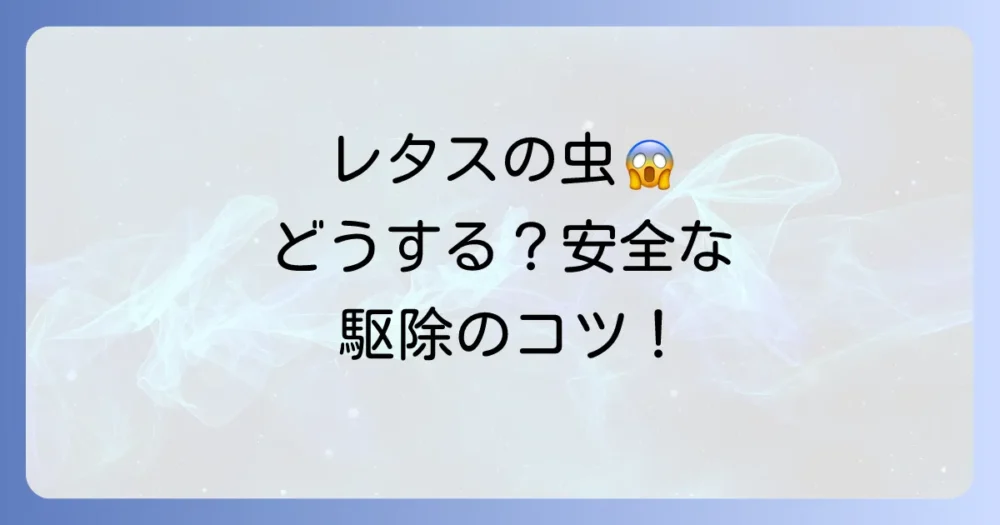 【今すぐできる】レタスについた虫の安全な駆除方法