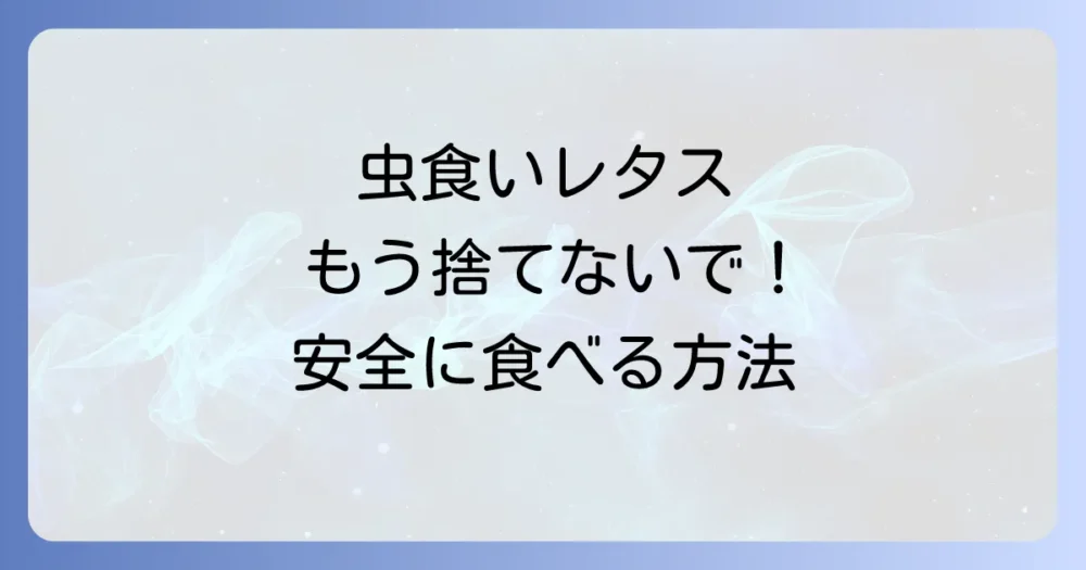 虫食いレタスは食べられる?気になる疑問を解決!