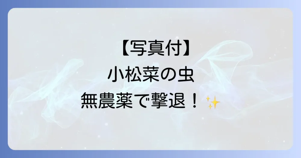小松菜につく虫はこれで撃退！【種類別】写真でわかる害虫と無農薬でできる対策法