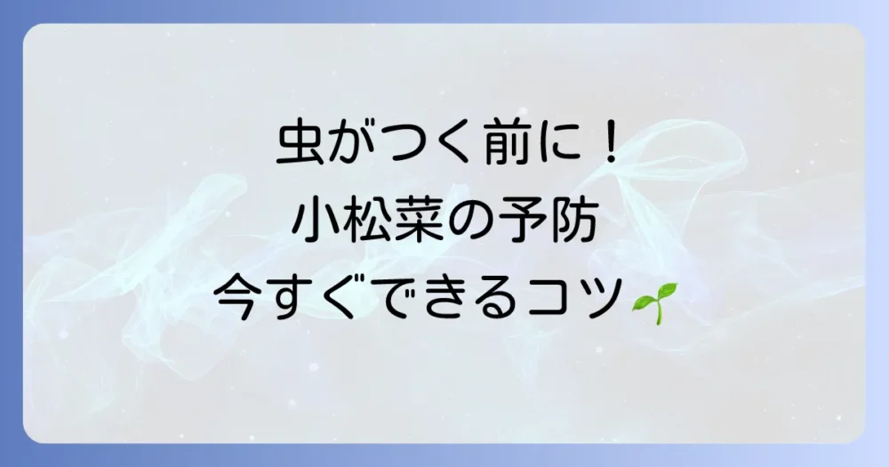 虫がつく前に！今日からできる小松菜の害虫予防策