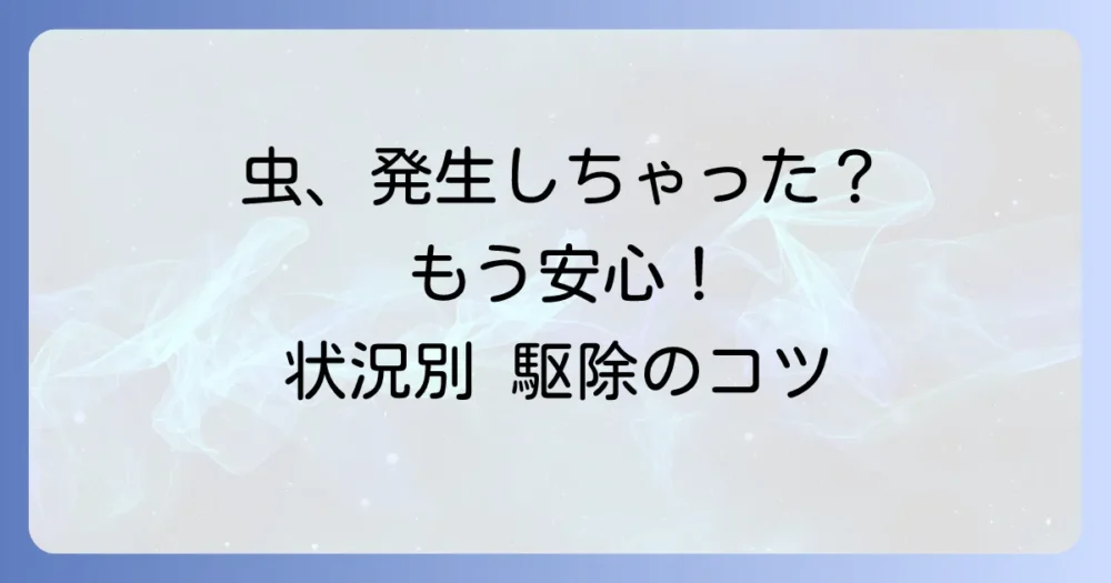 もし虫が発生してしまったら？状況別の駆除方法
