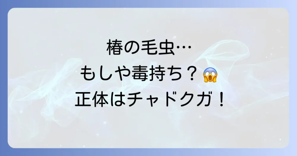 椿を襲う厄介者!その毛虫の正体は「チャドクガ」