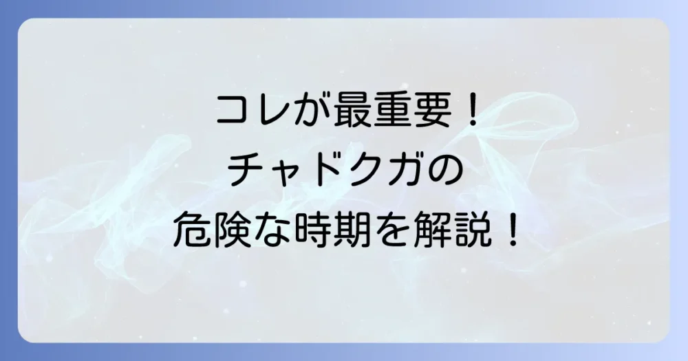 【最重要】チャドクガの発生時期と活動サイクル