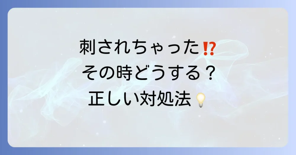 もし刺されてしまったら?症状と正しい応急処置
