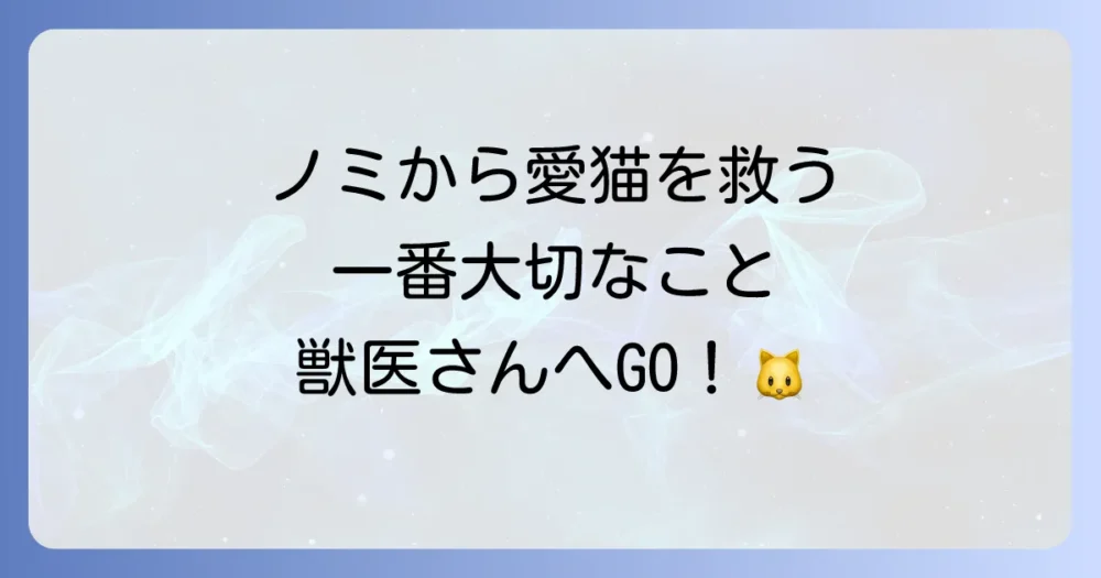 最重要!猫自身のノミ駆除と予防