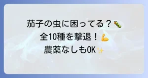 茄子の害虫駆除【完全ガイド】厄介な全10種の特定と対策、農薬に頼らない予防法まで