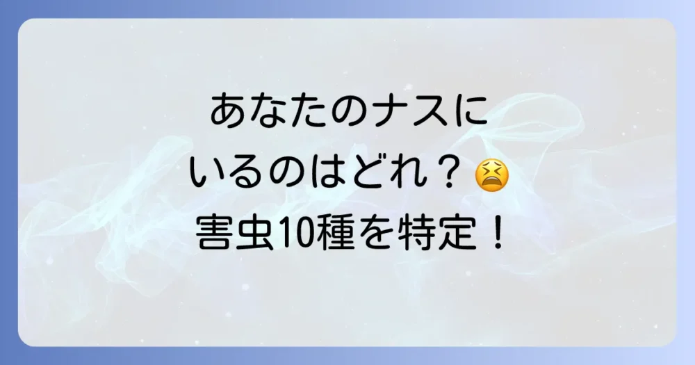 まずは敵を知ろう!茄子に発生しやすい代表的な害虫10選