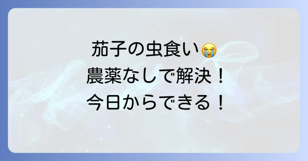 【農薬を使いたくない方へ】今日からできる!茄子の害虫駆除&予防(自然派編)