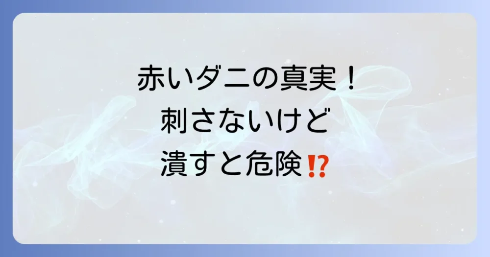 タカラダニの不快な大発生!まずは知っておきたい生態と被害