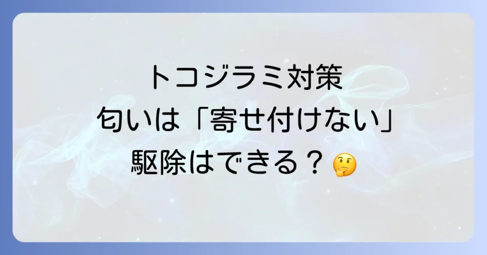 トコジラミが嫌いな匂い、本当に効果はあるの?