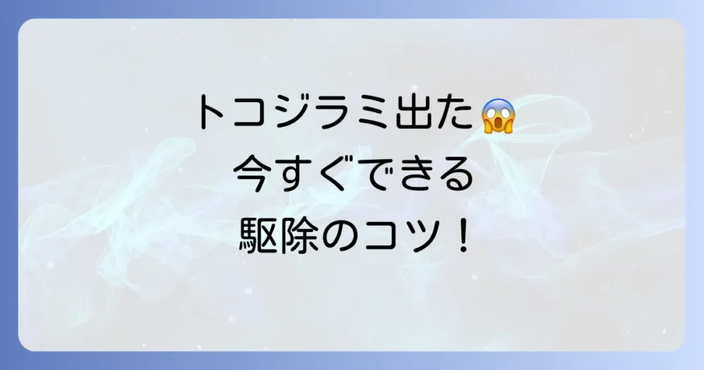 トコジラミが発生してしまったら?自分でできる駆除方法