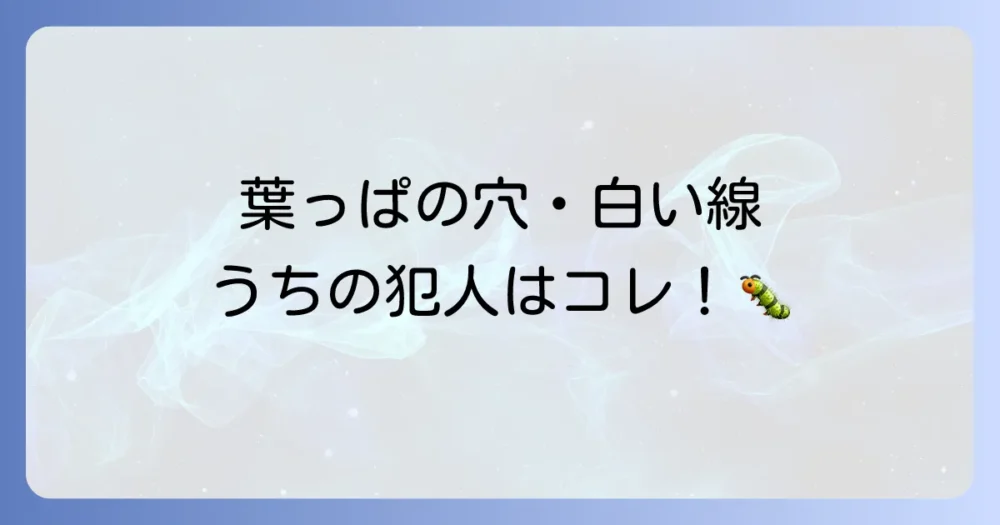 まずは特定！みかんの葉を食べる代表的な虫【被害症状別】