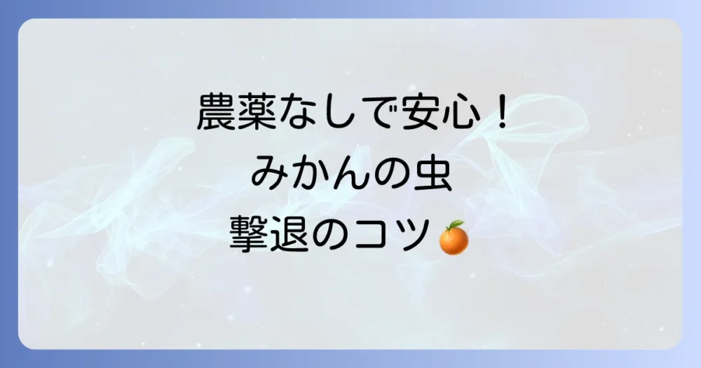 【初心者でも安心】農薬を使わない！みかんの虫対策