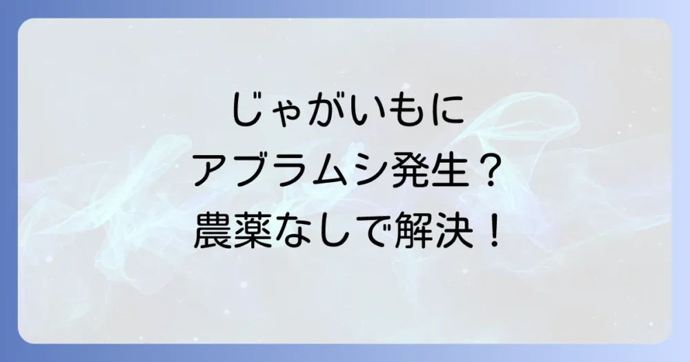 じゃがいもをアブラムシから守る！原因と今日からできる対策を徹底解説
