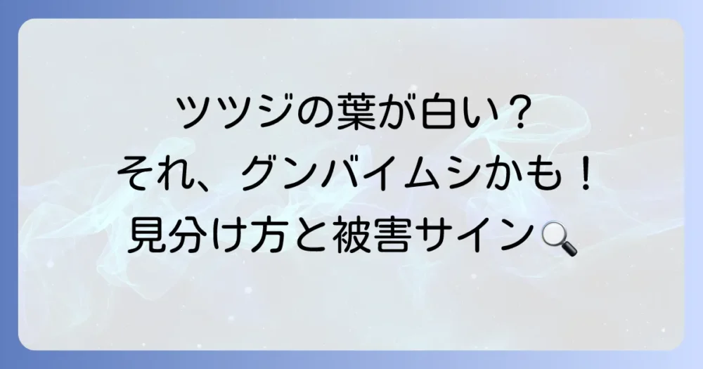 もしかしてグンバイムシ?ツツジの被害症状と見分け方