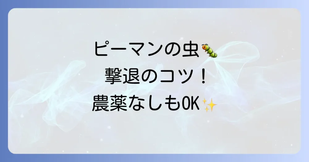 ピーマンにつく虫、もう悩まない！【完全ガイド】種類別の見分け方とプロが教える駆除・予防策