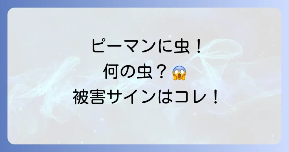 【要チェック】ピーマンに虫が！代表的な害虫と被害のサイン
