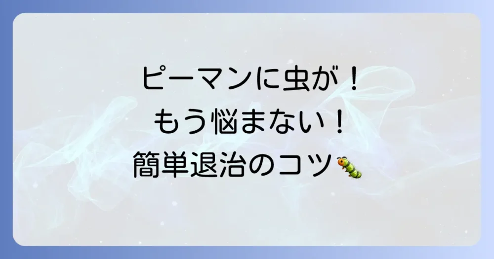 今すぐできる！ピーマンの虫対策【発生前後の対処法】