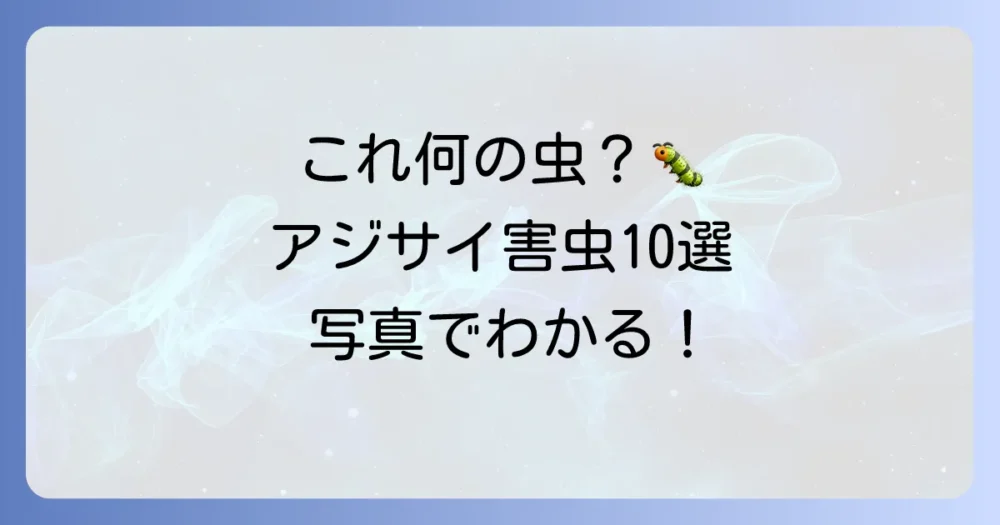 【写真でチェック】アジサイによくつく害虫10選と被害症状
