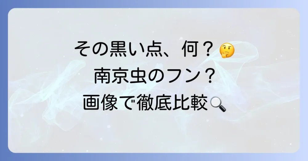 【画像で徹底比較】南京虫のフンと間違いやすい汚れ・フンの見分け方