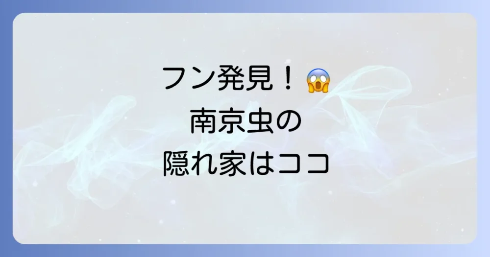ここをチェック!南京虫のフンが潜む危険な場所リスト