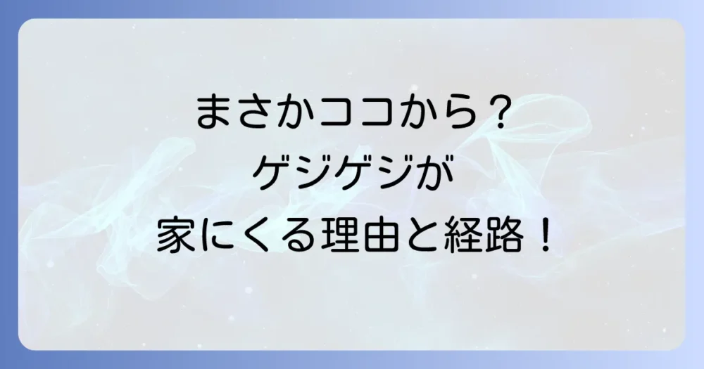 なぜ家に?ゲジゲジが侵入する原因と経路