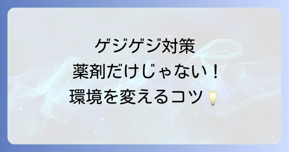 薬剤だけじゃない!ゲジゲジを寄せ付けないための環境改善策