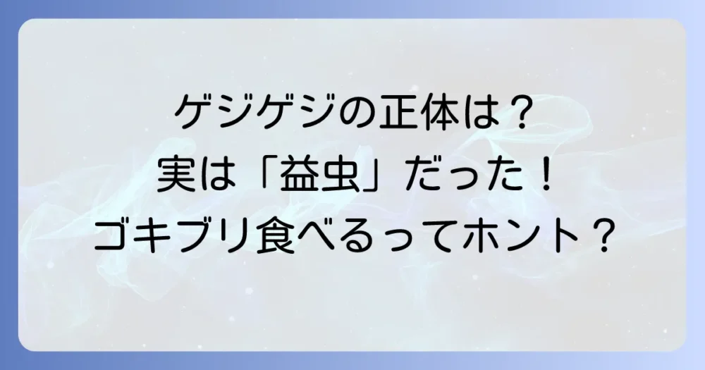 そもそもゲジゲジってどんな虫?益虫と言われる理由