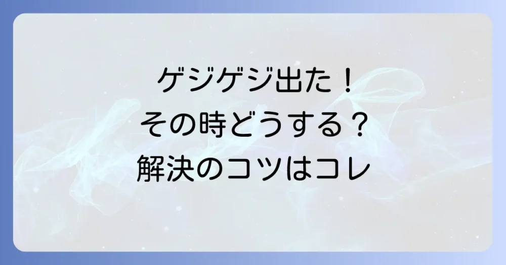 もし家の中で遭遇したら?正しいゲジゲジ駆除方法