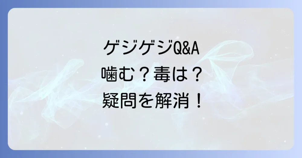 よくある質問